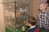 2013-01-11_05620_c1