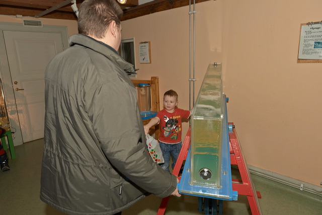 2013-01-11_05621_c1.jpg