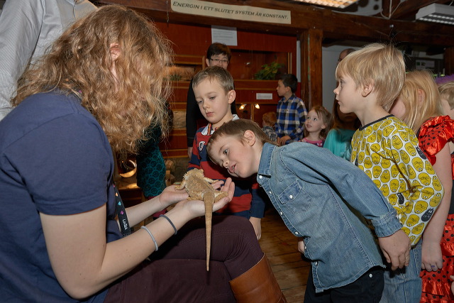 2013-01-11_05649_c1.jpg
