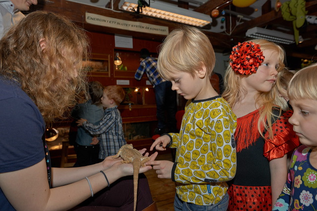 2013-01-11_05652_c1.jpg
