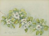 2010-01-06_12638_crop