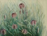 2010-01-06_12642_crop