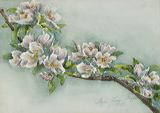 2010-01-06_12644_crop