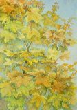2010-01-06_12668_crop