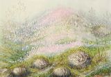 2010-01-06_12701_crop